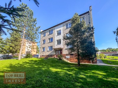 Prodej Byt 1+1, Zdounky