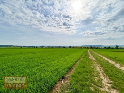 Prodej Pozemek, Popovice
