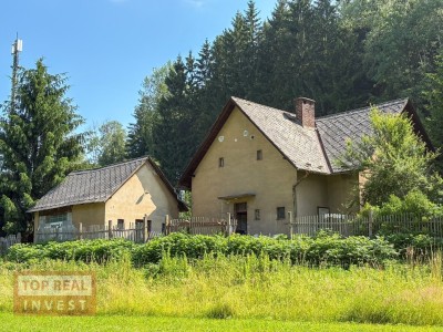 Prodej Rodinný dům 3+1, Dobrá Voda u Orlického Podhůří, Pardubický kraj
