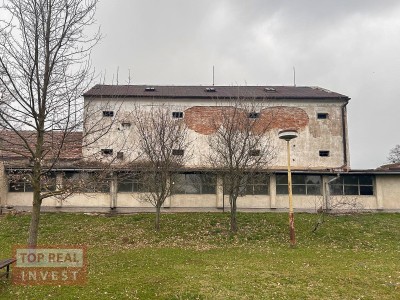 Pronájem Nebytový prostor, Koválovice